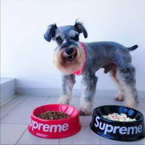 Supreme dog cat feeding bowls